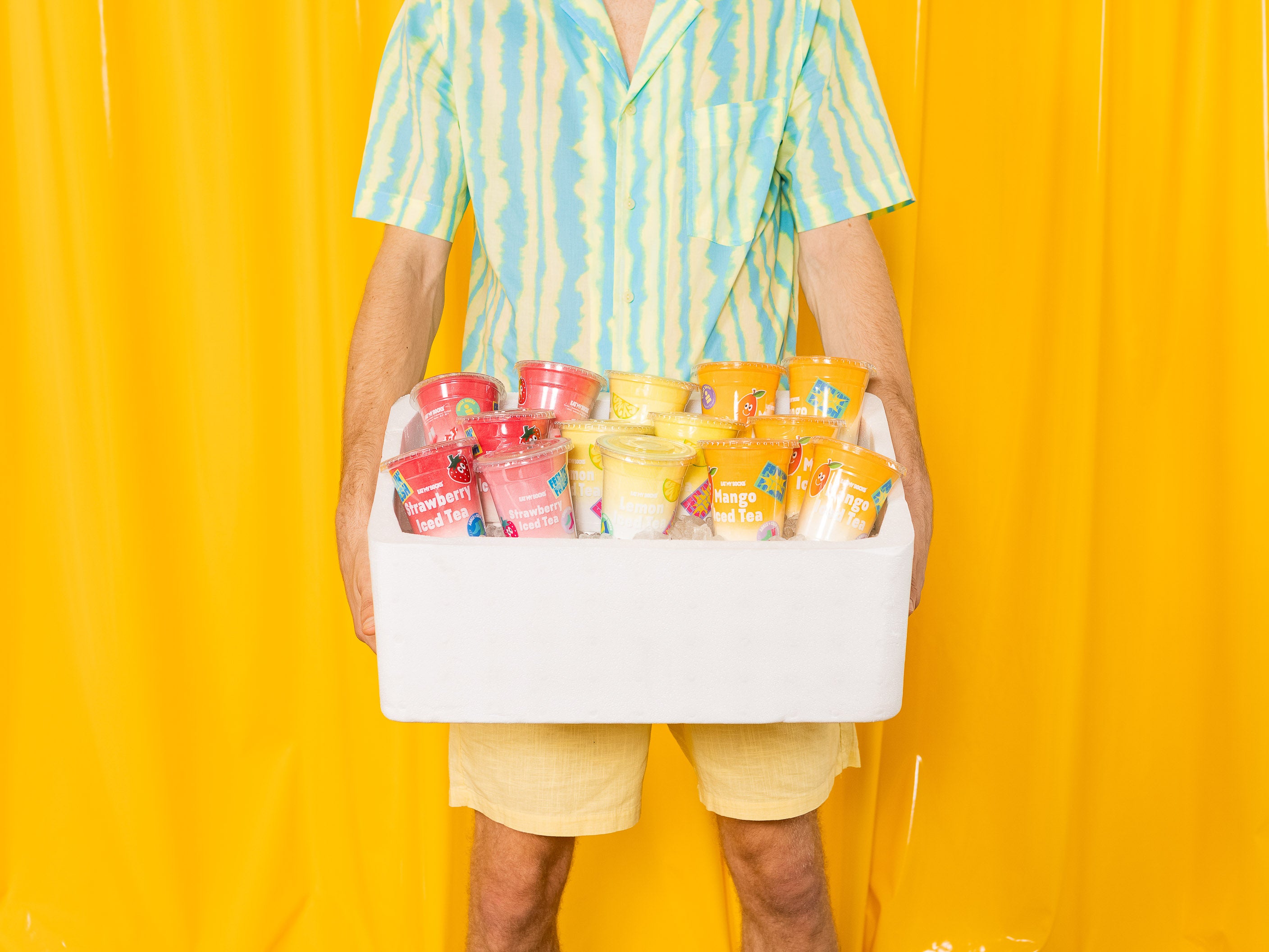 アイスティ様　商品 在庫限り】[春夏用]アイスベスト[アイスパック4個付き][男女兼用